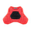 Alpinestars Nucleon Plasma Racing Chest Protector Insert Red Black