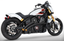 RADICAL RADIUS FOR INDIAN SCOUT - view 1