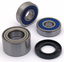 ALL BALLS WHEEL BEARING KITS FOR INDIAN & VICTORY - view 1