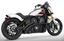 RADICAL RADIUS FOR INDIAN SCOUT - view 1