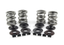 AV&V VALVE SPRING KITS - view 1