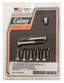 TRANSMISSION TOP COVER SCREW KIT FOR 4 SPEED BIG TWIN - view 1