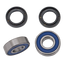 ALL BALLS WHEEL BEARING & SEAL KITS - view 1