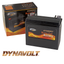 DYNAVOLT NANO GEL BATTERIES - view 1