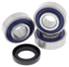 ALL BALLS WHEEL BEARING & SEAL KITS - view 1