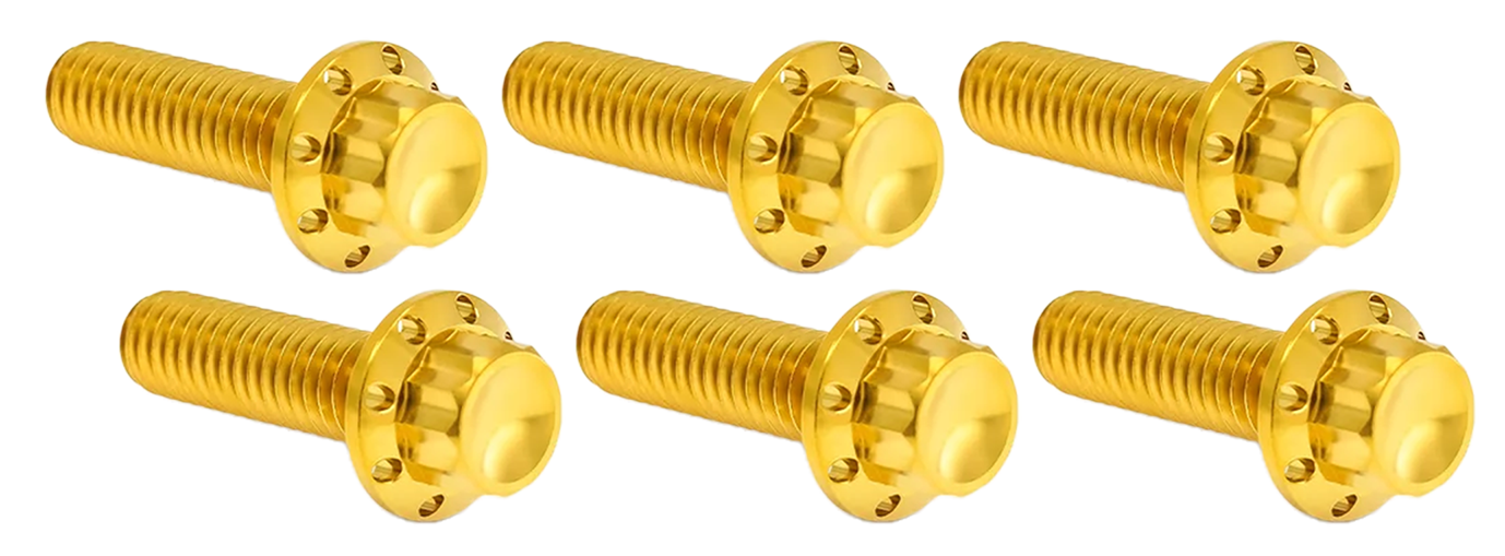 TRANSMISSION TOP COVER TITANIUM 12-POINT BOLT KITS - view 1 Main image