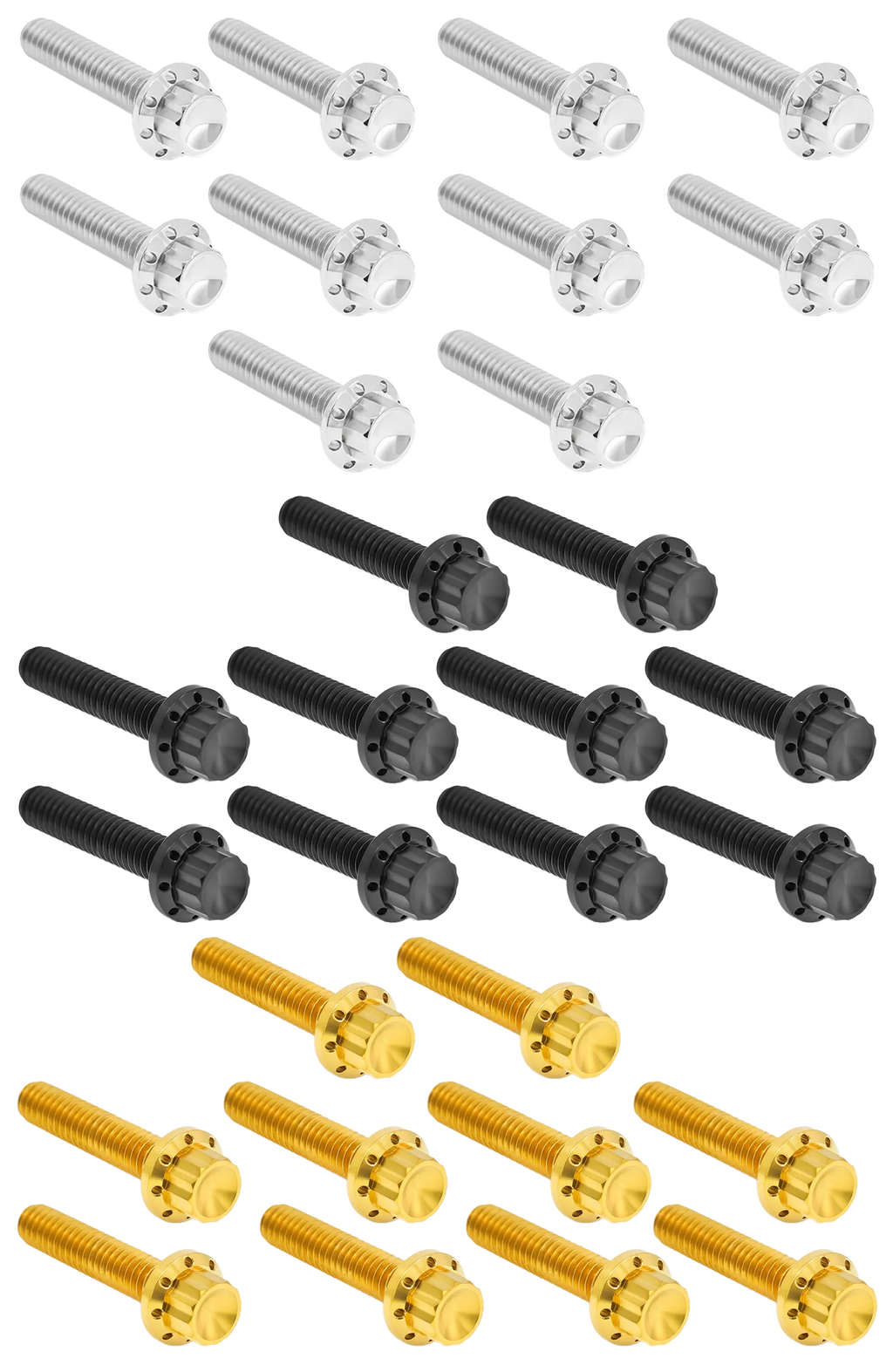 CAM & POINT COVER TITANIUM 12-POINT BOLT KITS - view 3