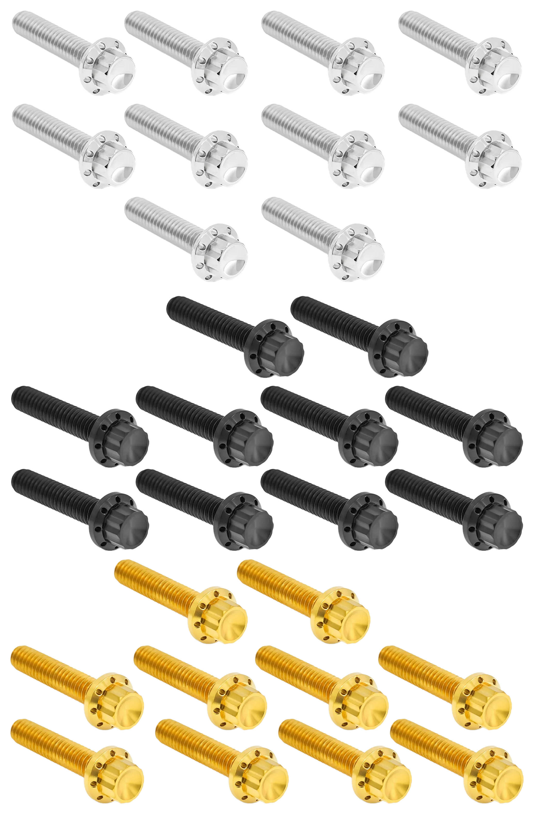 CAM & POINT COVER TITANIUM 12-POINT BOLT KITS - view 3