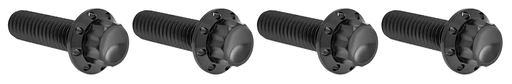 BRAKE AND PERCH TITANIUM 12-POINT BOLT KITS - view 1