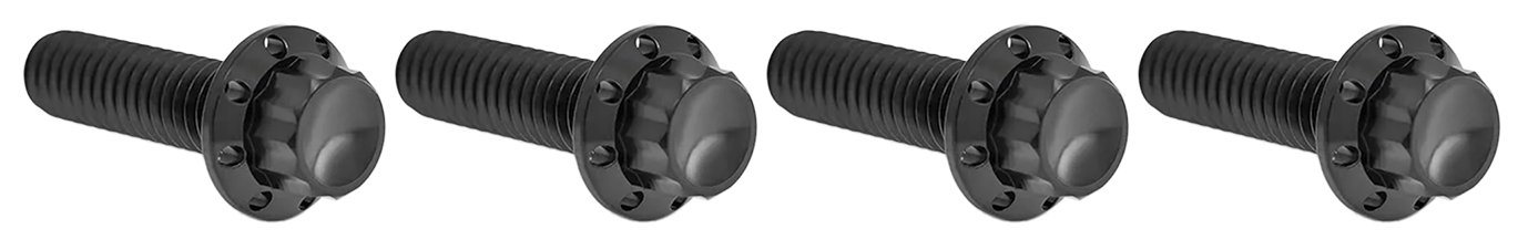 BRAKE AND PERCH TITANIUM 12-POINT BOLT KITS - view 1