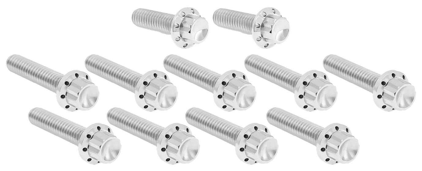 CAM & POINT COVER TITANIUM 12-POINT BOLT KITS - view 1 Main image