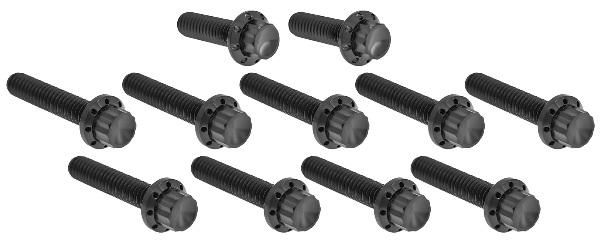 CAM & POINT COVER TITANIUM 12-POINT BOLT KITS - view 1