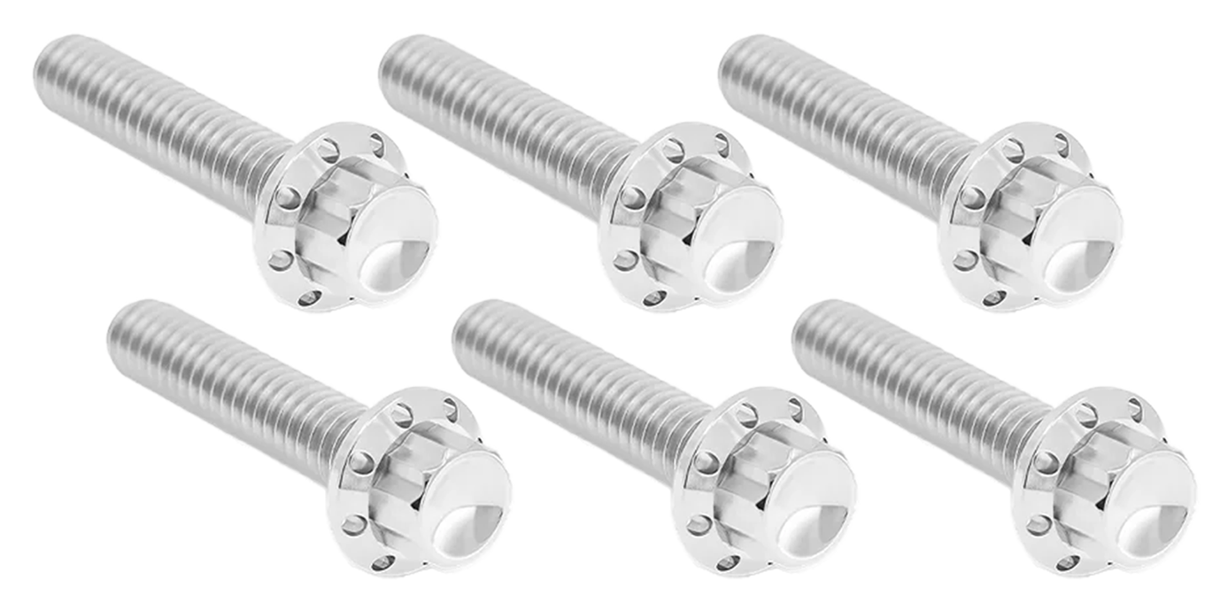 TRANSMISSION SIDE COVER & TRAP DOOR TITANIUM 12-POINT BOLT KITS - view 1