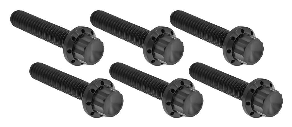 TRANSMISSION SIDE COVER & TRAP DOOR TITANIUM 12-POINT BOLT KITS - view 1