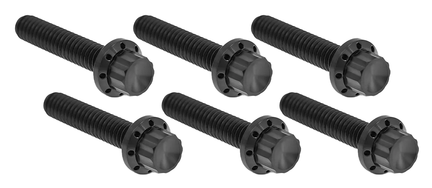 TRANSMISSION SIDE COVER & TRAP DOOR TITANIUM 12-POINT BOLT KITS - view 1 Main image