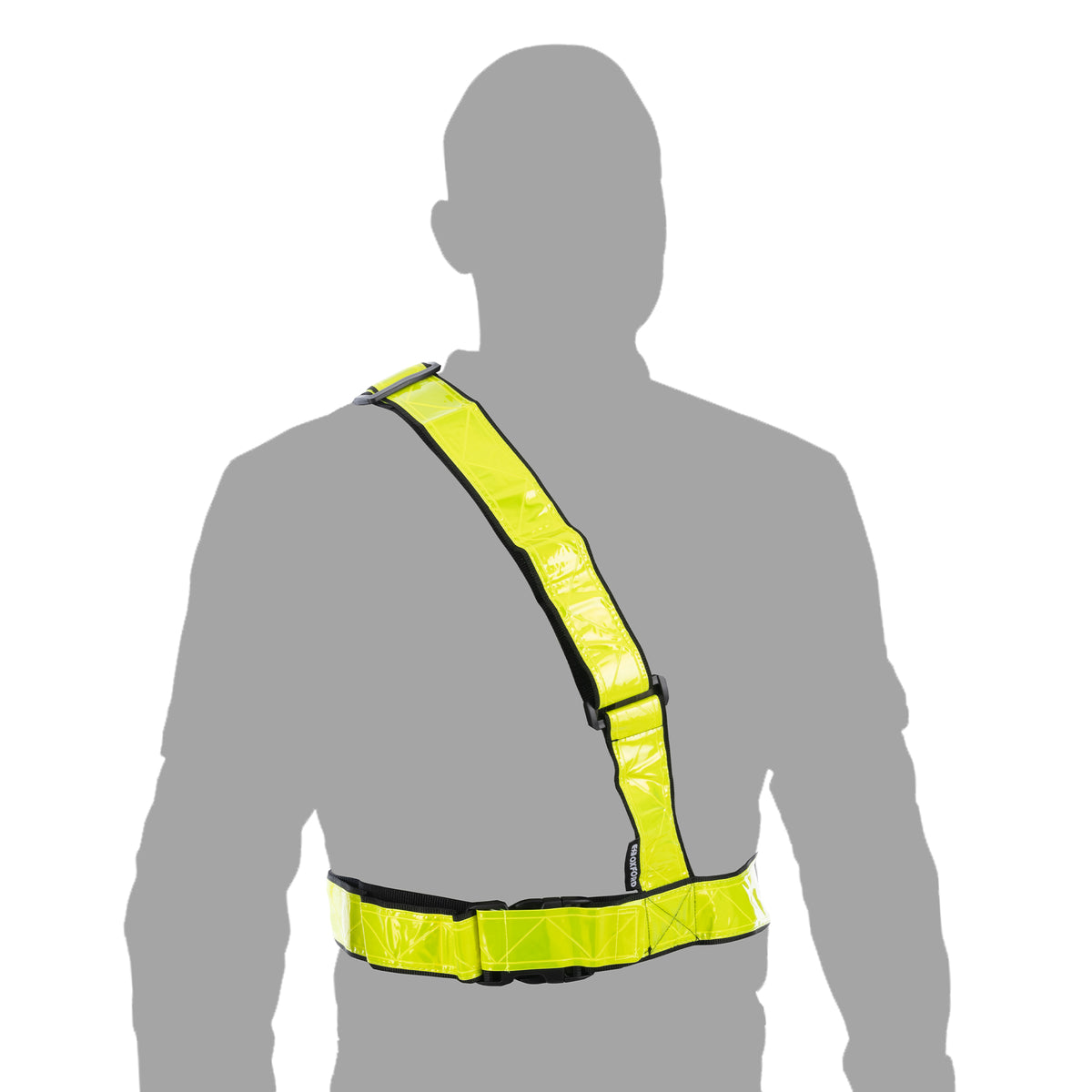 Oxford Bright Belt Main image