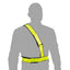 Oxford Bright Belt
