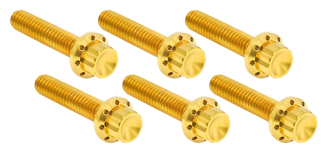 TRANSMISSION SIDE COVER & TRAP DOOR TITANIUM 12-POINT BOLT KITS - view 1