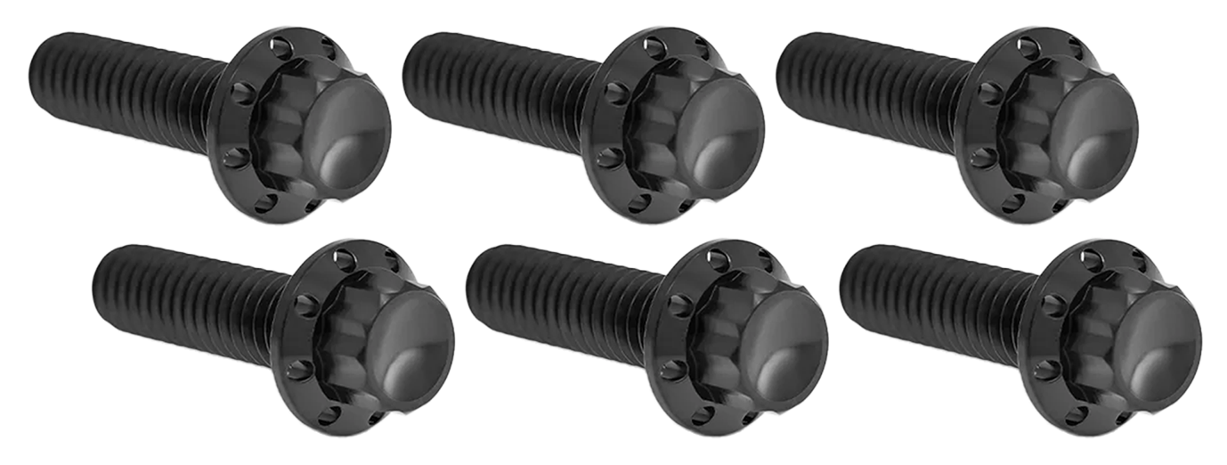 TRANSMISSION TOP COVER TITANIUM 12-POINT BOLT KITS - view 1