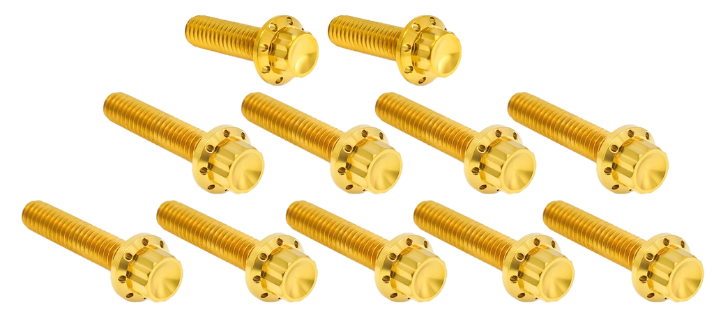 CAM & POINT COVER TITANIUM 12-POINT BOLT KITS - view 2