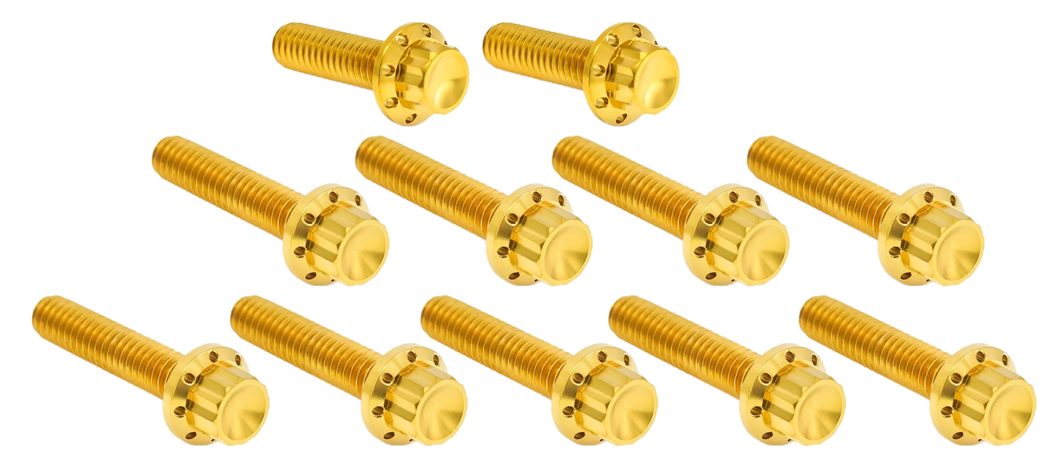 CAM & POINT COVER TITANIUM 12-POINT BOLT KITS - view 1 Main image