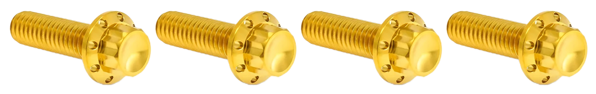 BRAKE AND PERCH TITANIUM 12-POINT BOLT KITS - view 1 Main image
