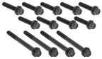 PRIMARY COVER TITANIUM 12-POINT BOLT KITS - view 1