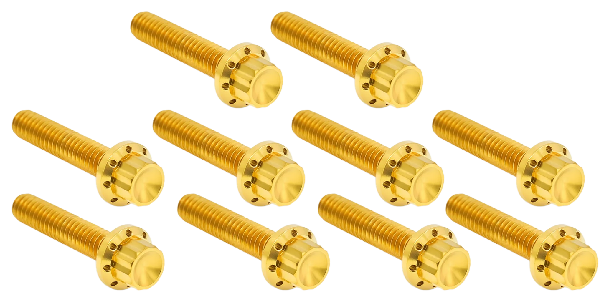 CAM & POINT COVER TITANIUM 12-POINT BOLT KITS - view 1 Main image