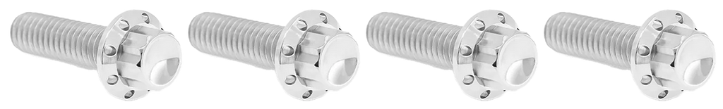 BRAKE AND PERCH TITANIUM 12-POINT BOLT KITS - view 1