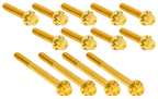 PRIMARY COVER TITANIUM 12-POINT BOLT KITS - view 1