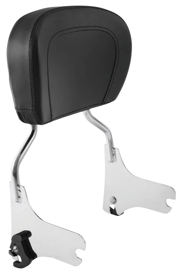 DETACHABLE PADDED SISSY BAR FOR TOURING - view 1 Main image