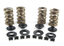 AV&V VALVE SPRING KITS - view 1