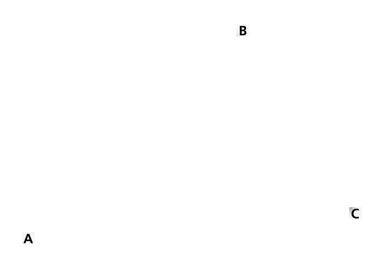 NEWTON AERO 300 ALUMINUM RACING GAS CAPS Secondary image