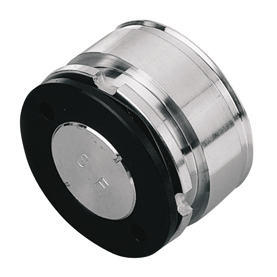 BRAKE CALIPER PISTONS - view 1