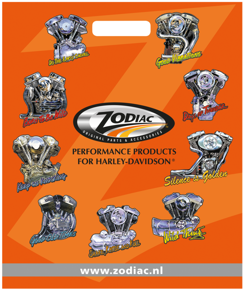 ZODIAC SHOPPING BAGS - view 3