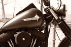 VINTAGE GAS TANK EMBLEMS - view 1