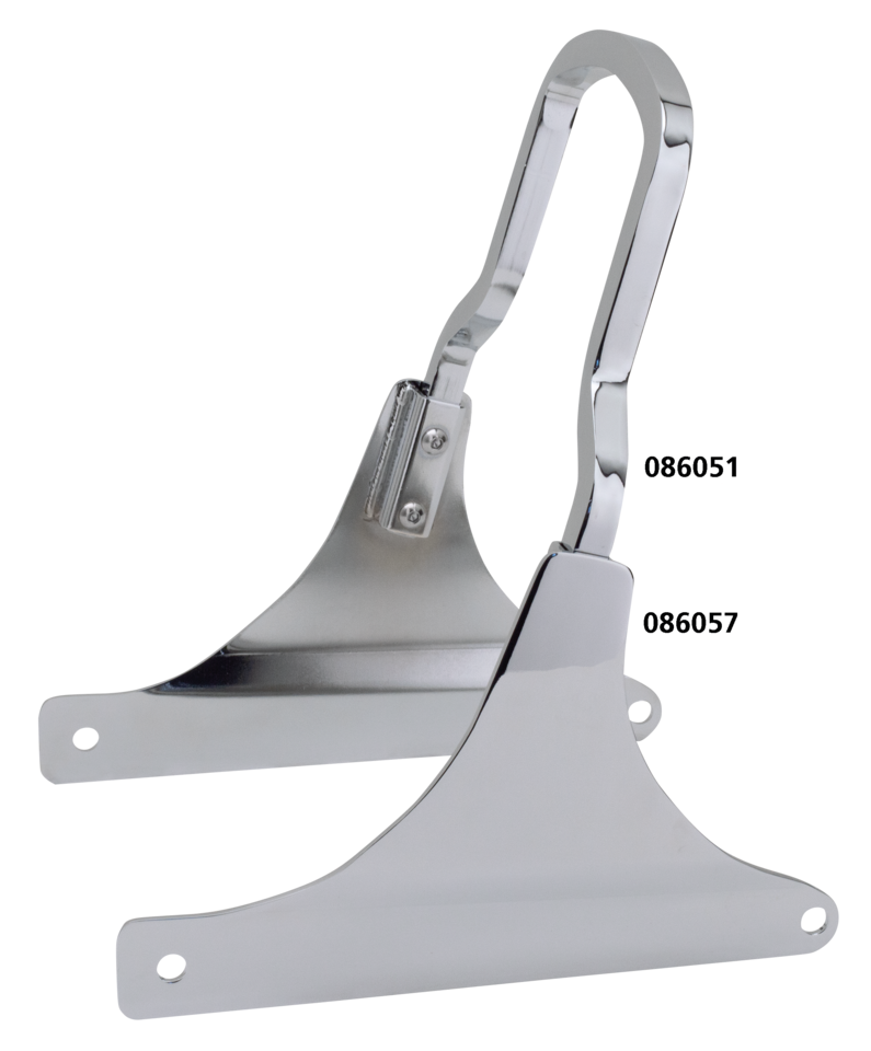 RIGID MOUNT SHORTY SISSY BARS - view 1 Main image