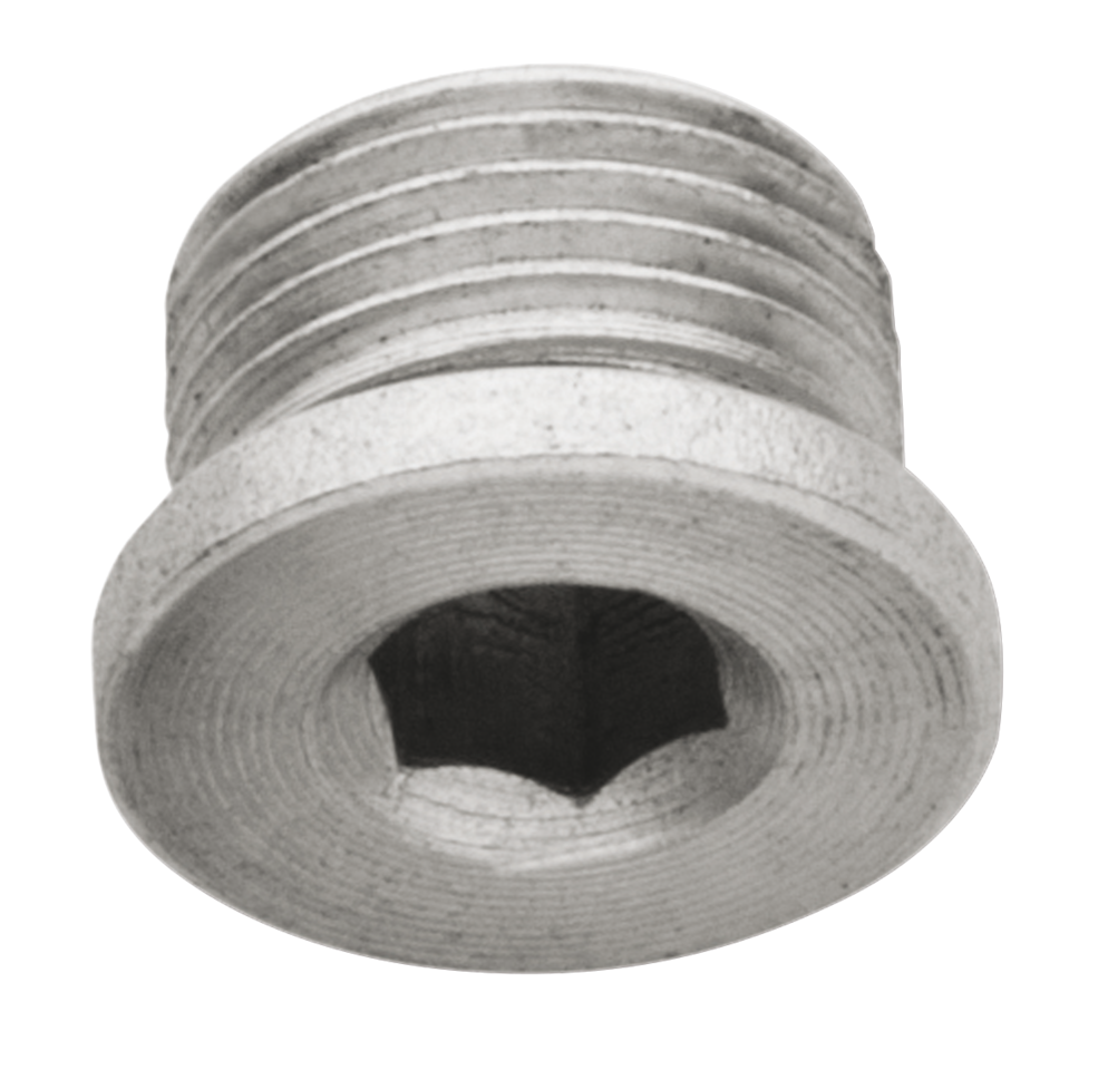 O2 SENSOR BUNG PLUGS AND ADAPTER - view 1