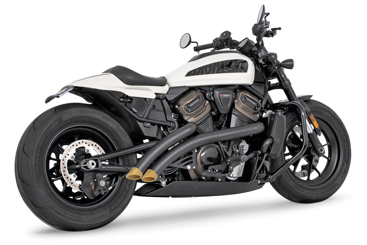 FREEDOM PERFORMANCE RADICAL RADIUS FOR RH SPORTSTER S - view 1 Main image