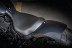 RICK’S MILWAUKEE EIGHT SOFTAIL FAT BOY & BREAKOUT REAR FENDERS - view 2