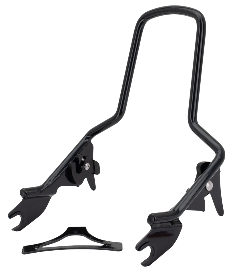DETACHABLE SISSY BARS FOR TOURING - view 1 Main image
