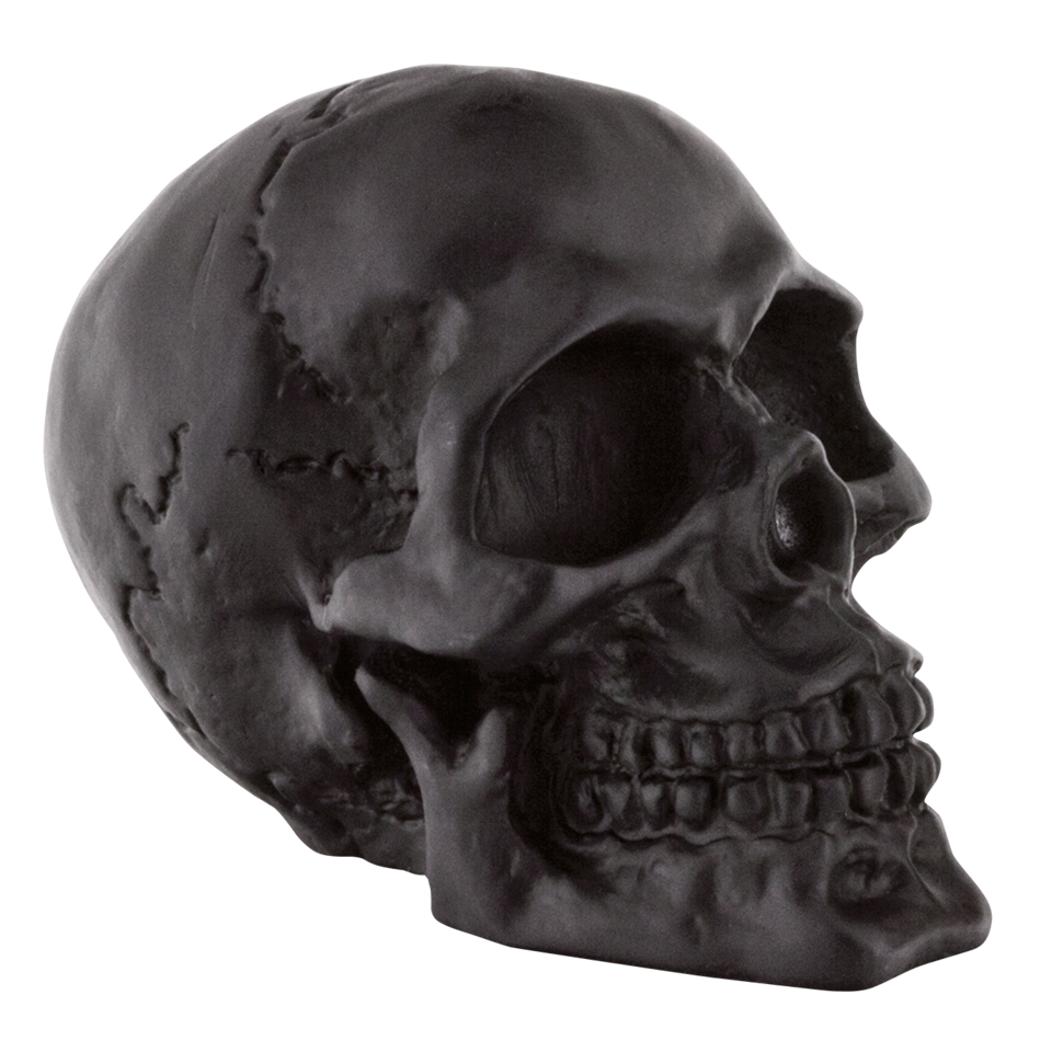 GENUINE ZODIAC SKULLS - view 1