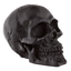 GENUINE ZODIAC SKULLS - view 1