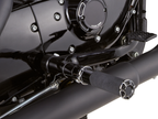 ARLEN NESS FUSION FOOT PEGS - view 2