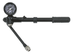 GAUGE-MOUNTED AIR PUMPS - view 1