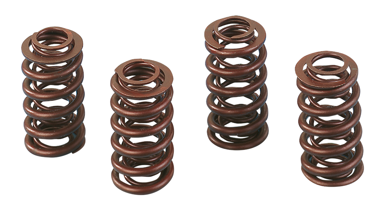 ANDREWS VALVE SPRING SETS - view 1 Main image