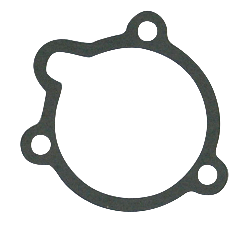 SPECIAL CARBURETOR AND MANIFOLD GASKETS - view 1
