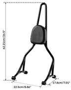 BOLT-ON TALL SISSY BARS WITH PAD - view 3