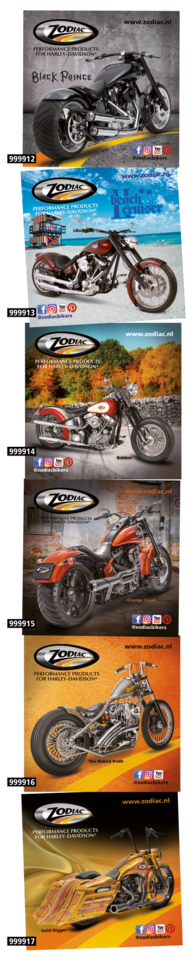 ZODIAC SHOW BIKE STICKERS Secondary image