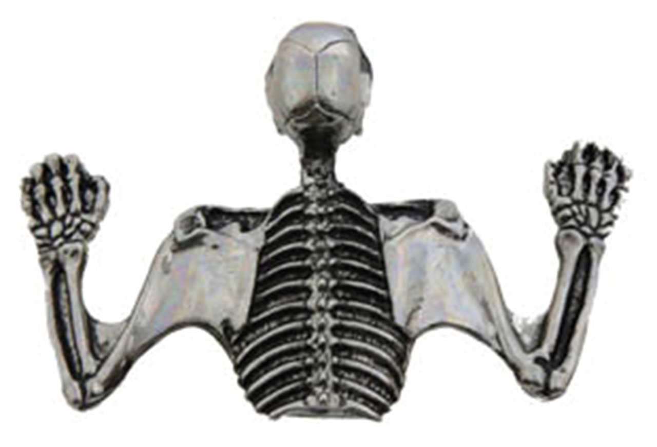 SKULLED HEADLAMP VISOR ORNAMENT Secondary image